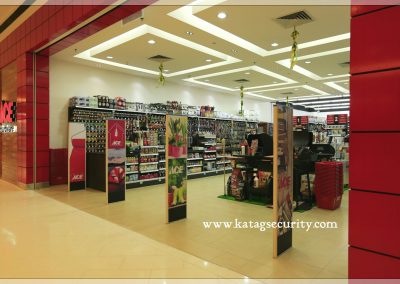 ACE Hardware - 1