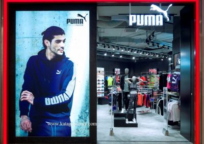 Puma - 4